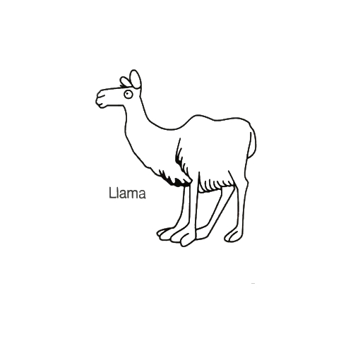 картинка 630-0036 Резиновая тяга Лама, очень сильная, 5/8" (15,9 мм), внутриротовая, Ormco (1 шт) 