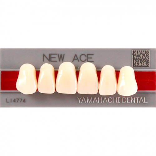 картинка Зубы акриловые New Ace Anterior фронтальные, верхние, фасон T2 (6 шт.), Yamahachi 