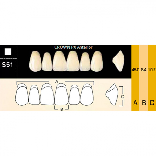 картинка Зубы композитные Crown PX Anteriors фронтальные, верхние, фасон S51 на планке (6 шт), Yamahachi 