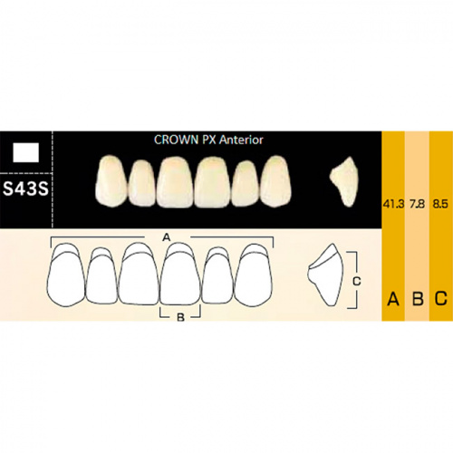 картинка Зубы композитные Crown PX Anteriors фронтальные, верхние, фасон S43S на планке (6 шт), Yamahachi 