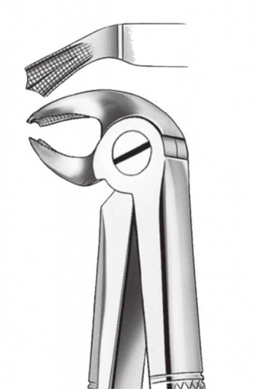 картинка 2954/24 Щипцы для удаления зубов нижние моляры левые, Orange 