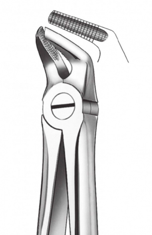 картинка Щипцы для удаления зубов нижние премоляры, Orange 