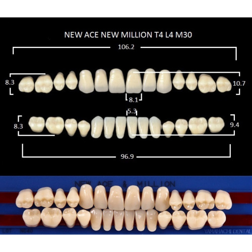 картинка Зубы акриловые New Ace / New Million, фасон T4/L4 M30, полный гарнитур (28 шт), Yamahachi 