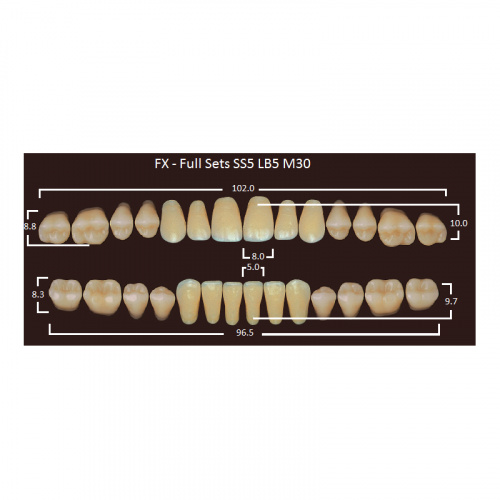 картинка Зубы акриловые FX, фасон SS5/LB5 M30, полный гарнитур (28 шт), Yamahachi 