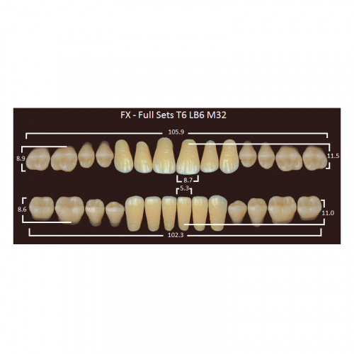 картинка Зубы акриловые FX, фасон T6/LB6 M32, полный гарнитур (28 шт), Yamahachi 