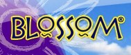 Логотип компании BLOSSOM
