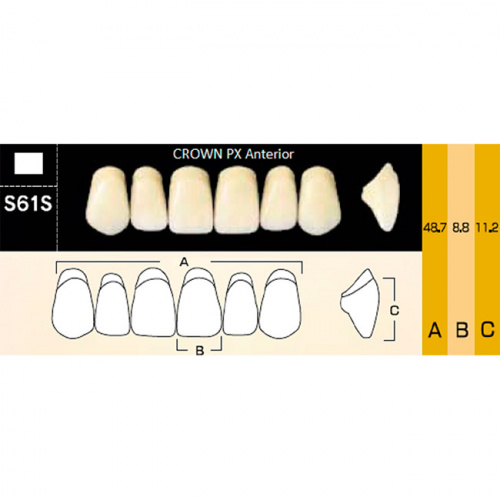картинка Зубы композитные Crown PX Anteriors фронтальные, верхние, фасон S61S на планке (6 шт), Yamahachi 
