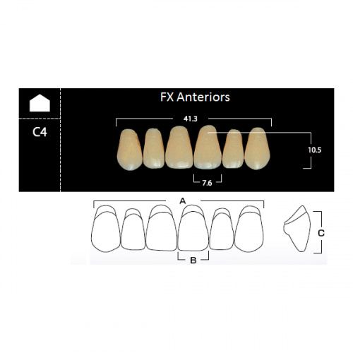 картинка Зубы акриловые FX Anteriors фронтальные, верхние, фасон С4 на планке (6 шт), Yamahachi 