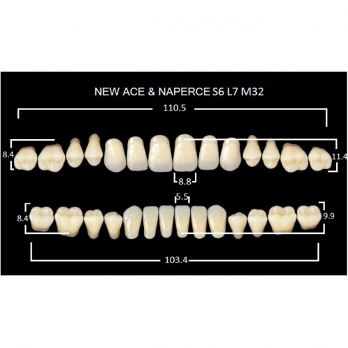 картинка Зубы акриловые Gloria New Ace / Naperce, фасон S6/L7 М32, полный гарнитур (28 шт), Yamahachi 