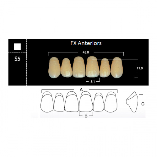 картинка Зубы акриловые FX Anteriors фронтальные, верхние, фасон S5 на планке (6 шт), Yamahachi 