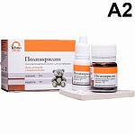 картинка Полиакрилин детский для реставрации (10г+8г), TehnoDent