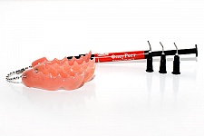 картинка Флоурест десневые оттенки (шприц 2 г), Стомадент