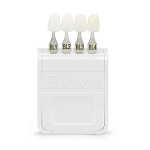 картинка Расцветка Эй-Ди Шейд Гайд Блич - A-D Shade Guide Bleach (артикул 628605) отбеленные цвета, Ivoclar Vivadent (1шт)