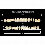 картинка Зубы акриловые Gloria New Ace / Naperce, фасон S2/S3L М30, полный гарнитур (28 шт), Yamahachi