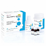 картинка Виллакрил Орто Микс - Villacryl Ortho Mix, Everall7