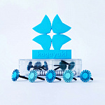 картинка Диски спиральные StarFlex, Kagayaki (6 шт)