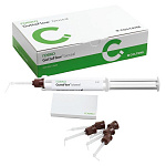 картинка  6001 9560 Гуттафлоу Биосил - Guttaflow Bioseal (5мл), Roeko