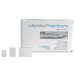 картинка Колпротект - Collprotect (1шт), Botiss