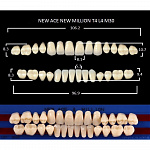 картинка Зубы акриловые New Ace / New Million, фасон T4/L4 M30, полный гарнитур (28 шт), Yamahachi