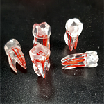 картинка Эндотрейнер (зуб №6), Medskills